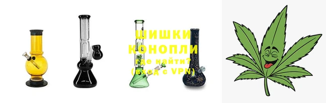 PSILOCYBIN Новодвинск